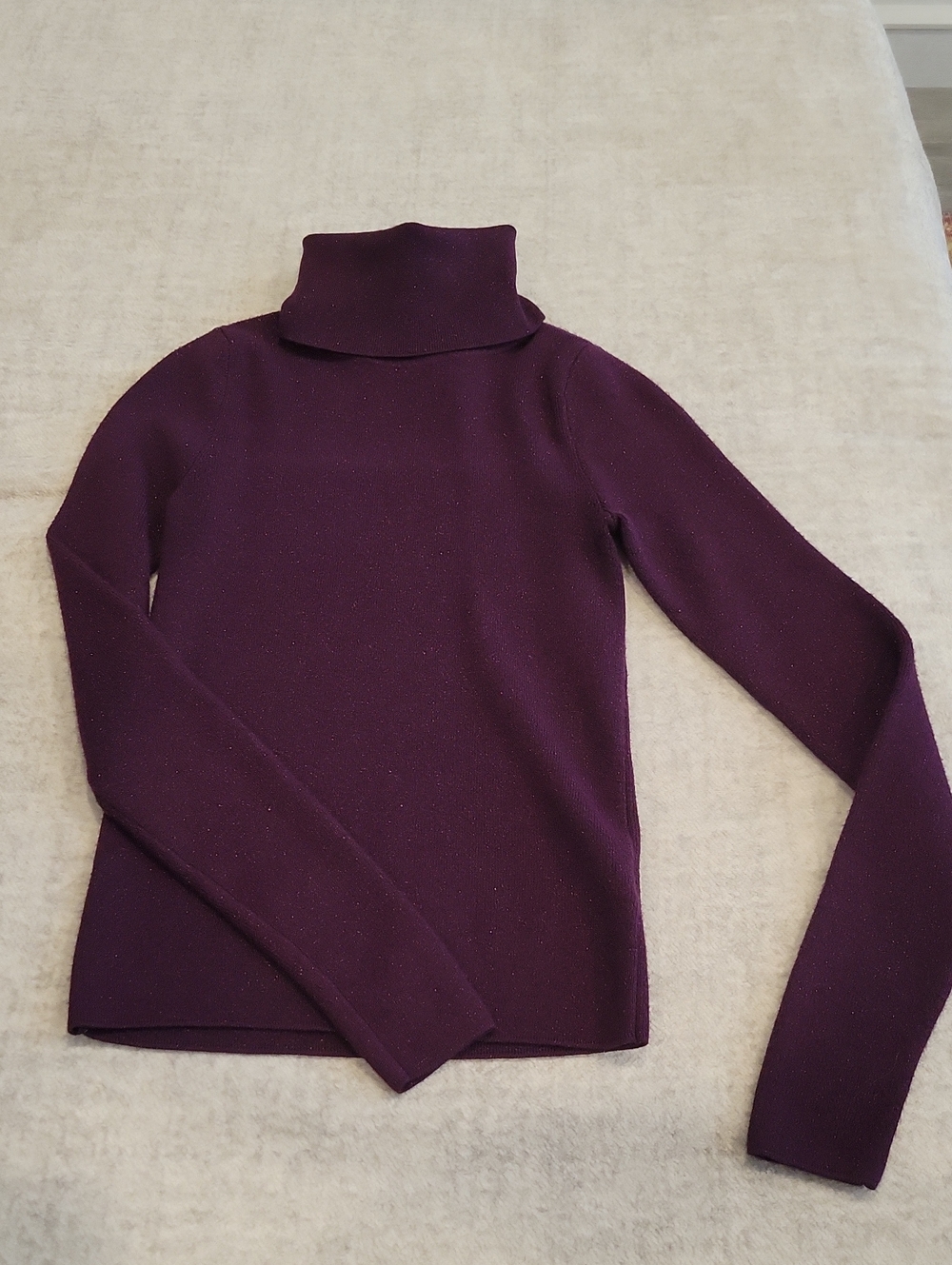 Express Brand: Dark Purple Glittery Turtleneck, Good Condition, Size XXS